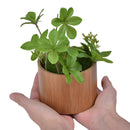 Relógio Masculino de Madeira Bobo Bird – Artesanal, Vintage, Elegante